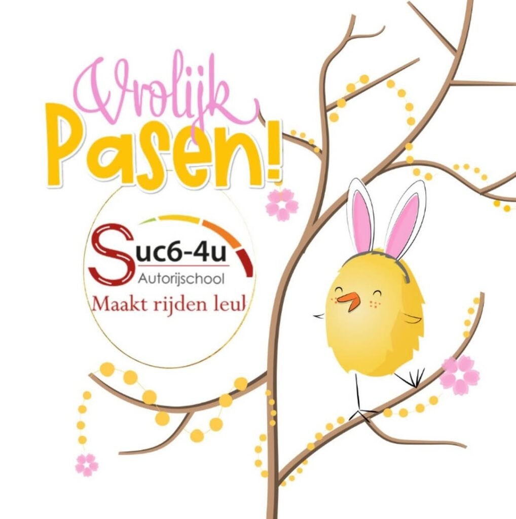 autorijschool-suc6-4u-photo-4-3